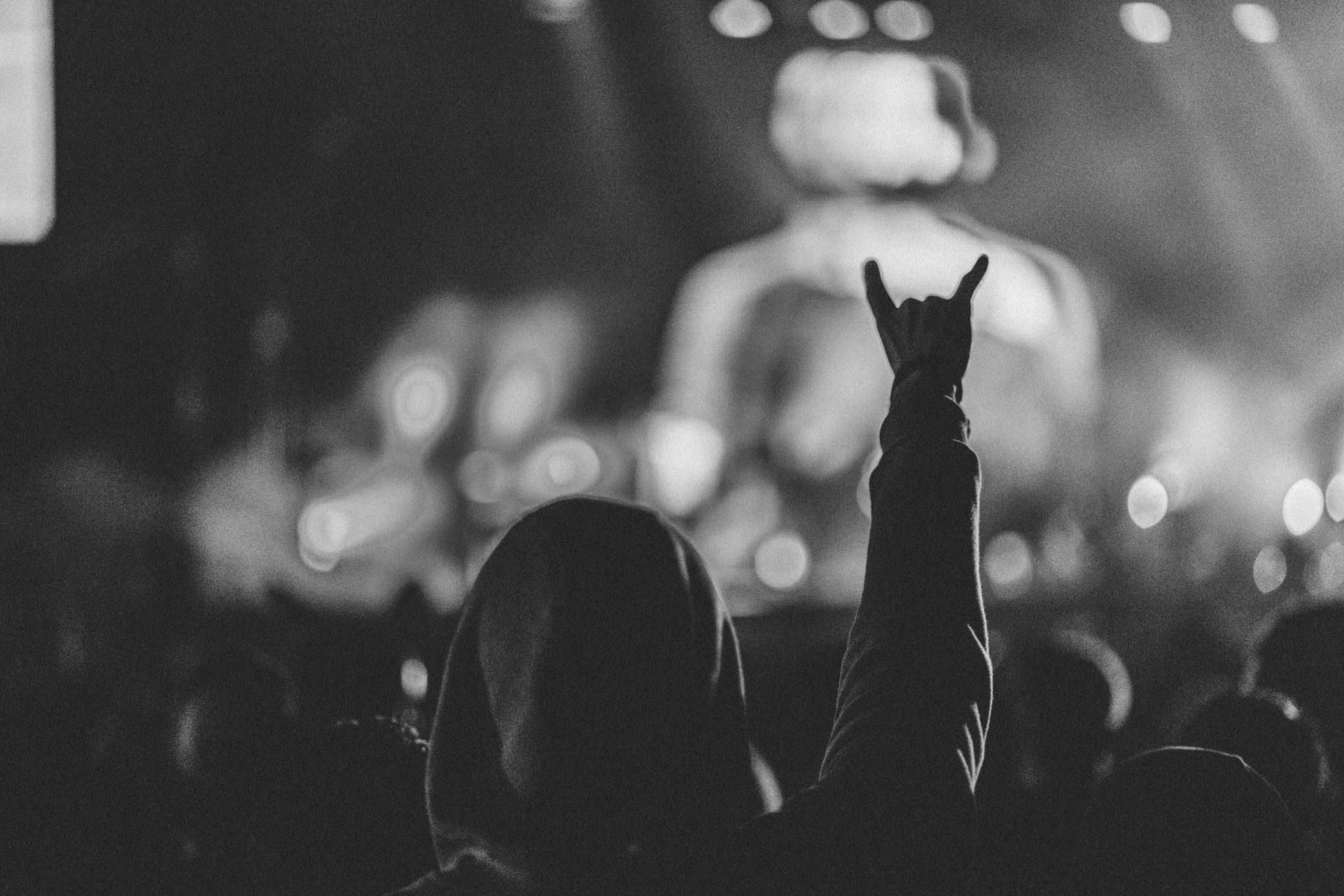 Silhouetted fan raising hand during an intense performance